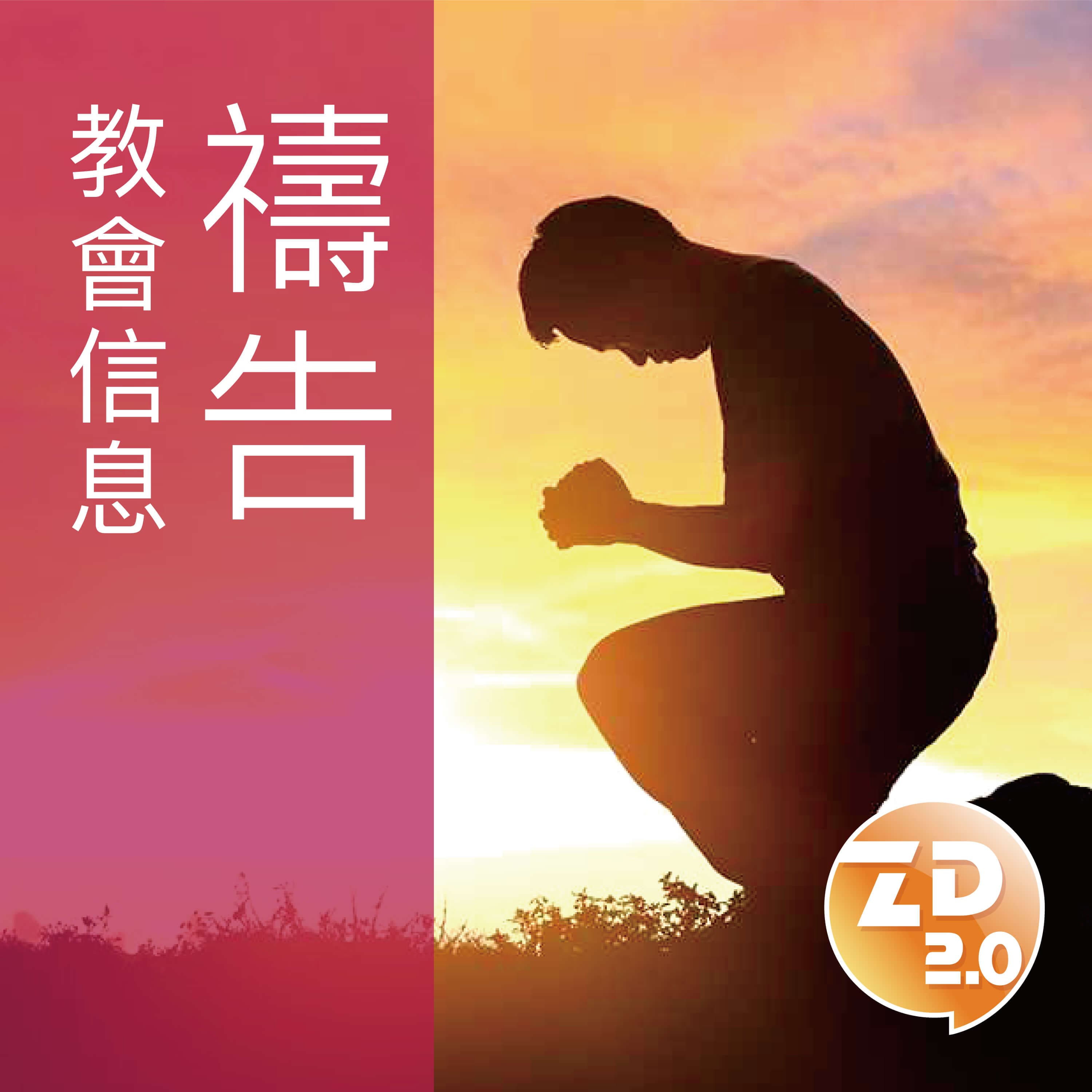 信息分類