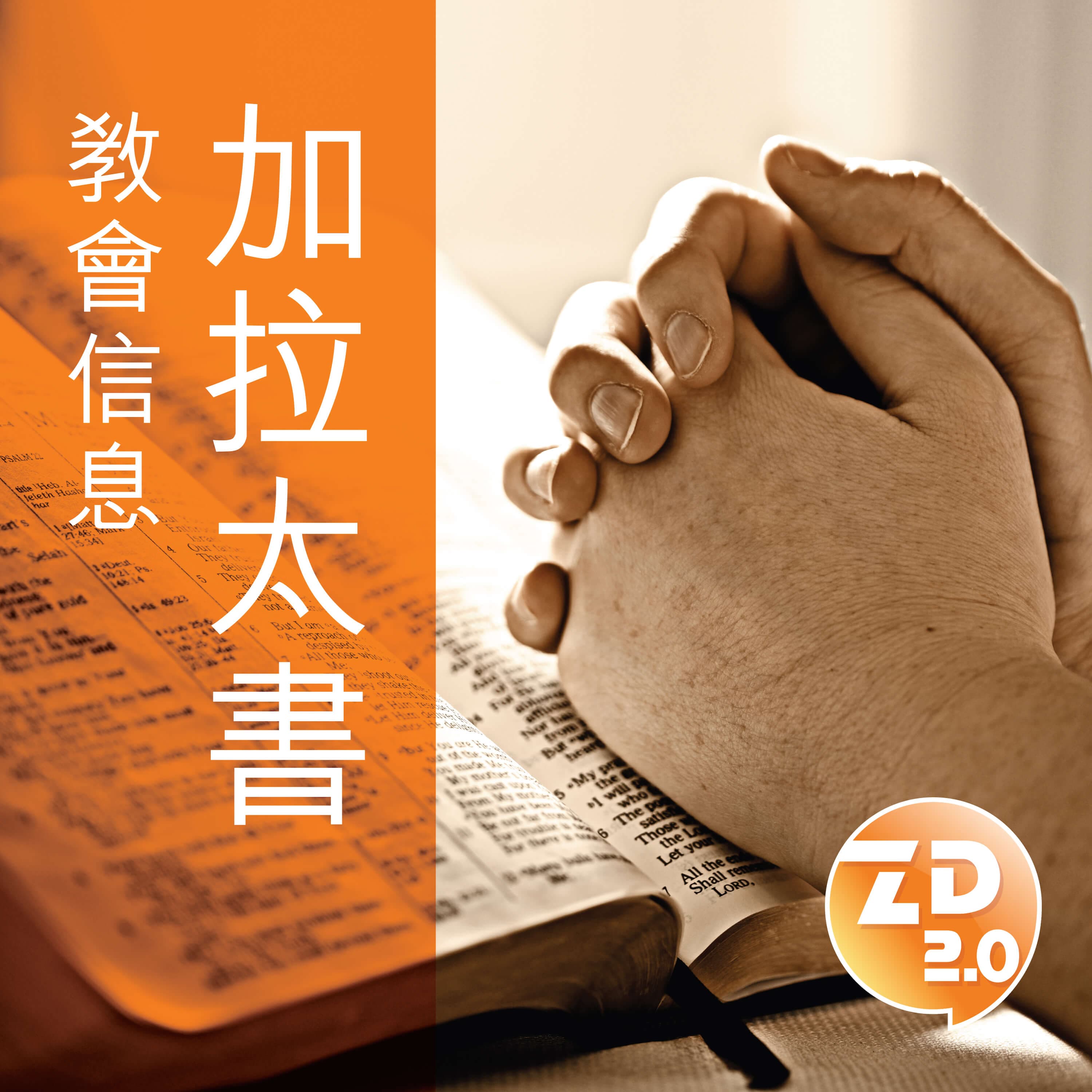 信息分類