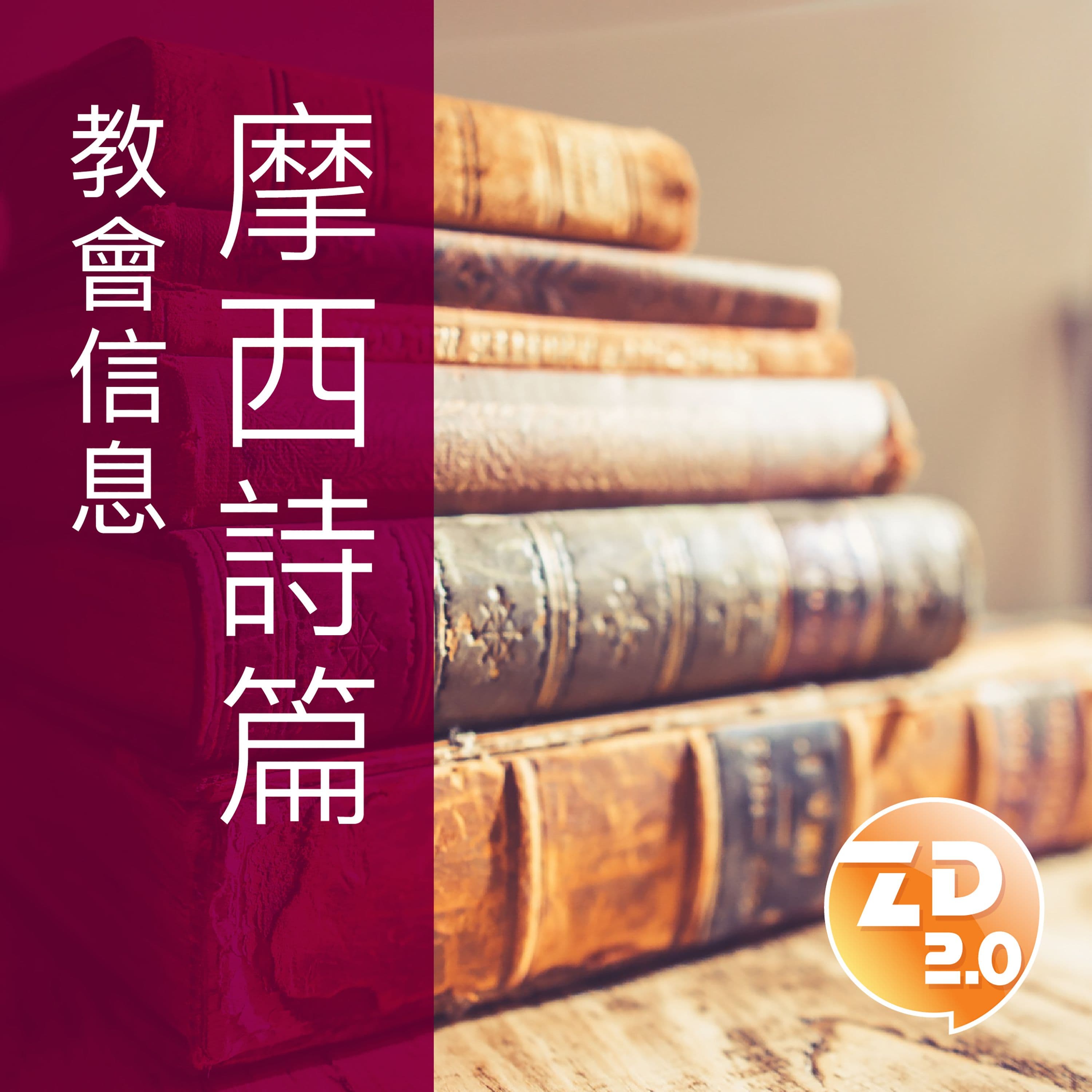 信息分類