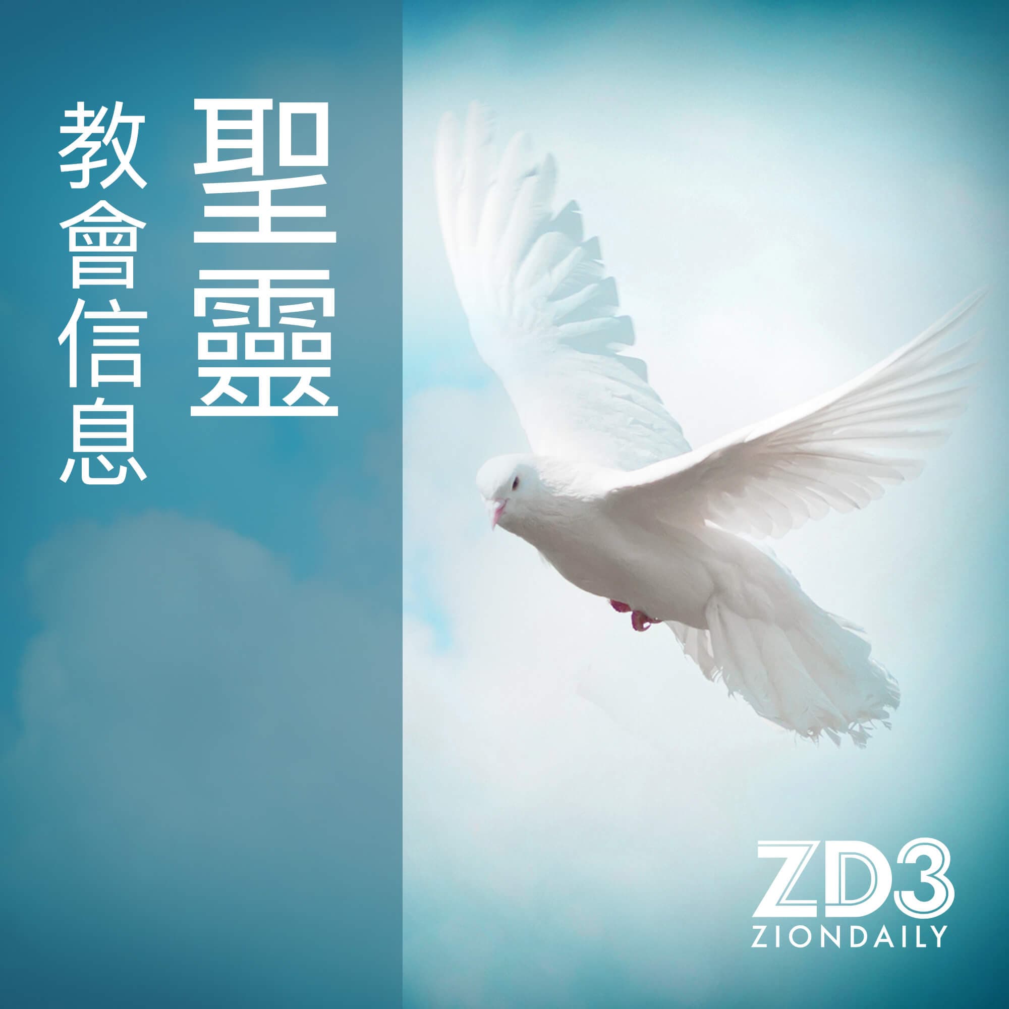 信息分類